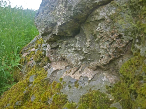 Kæmpesten Hedensted består af stribet og båndet gnejs med kvartsårer