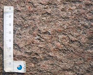 Rokkesten Rutsker består af Bornholmsk Gnejs