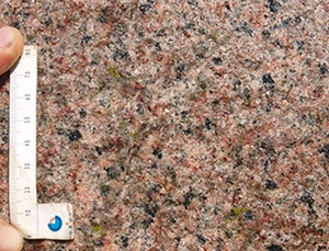 Dyrsten består af Almindinggranit