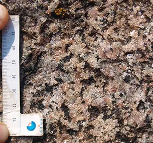 Den sydlige af Studene