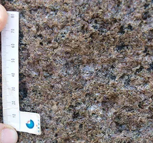 Den nordlige af Studene