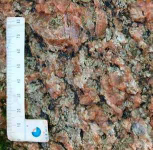 Bleghald består af grovkornet granit