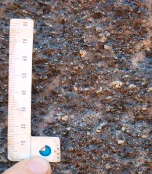 Skulken består af Paradisbakke Migmatit