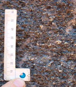 Skulken består af Paradisbakke Migmatit