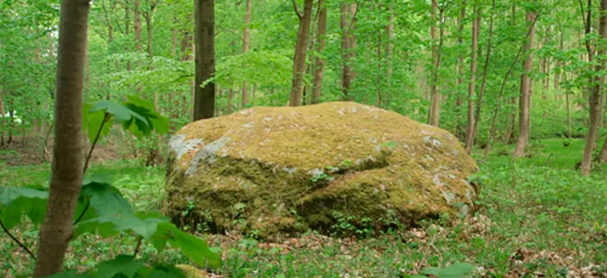 Kæmpesten Lindeskoven