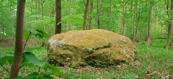 Kæmpesten Lindeskoven