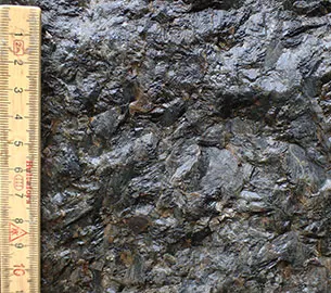 Den Grå Ko består af larvikit. Mellem grå aflange feldspatkorn, der er 1 til 2 cm lange, sidder mindre sorte mineralhobe