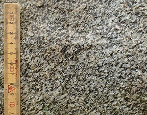 Bjergarten er meget lys og enskornet. Hovedmineralet er mælkehvid feldspat. Heri ses lys grå kvarts og brun kvarts