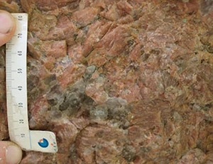 Kyllingeklippen består højst sandsynlig af Paradisbakke Migmatit eller Bornholmsk Gnejs