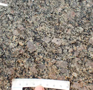 Kæmpesten Halvfarstenen - tæt på