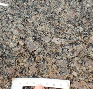 Kæmpesten Halvfarstenen - tæt på