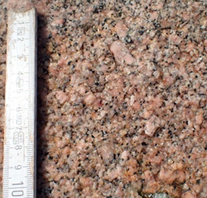 Kæmpesten Saltstenen - tæt på