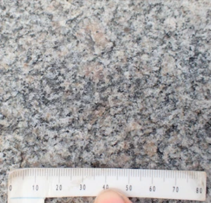 Marens Sten kæmpesten - tæt på