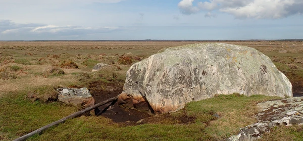 Kæmpesten Topstenen