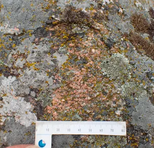 Kæmpesten Store Tingsten - tæt på