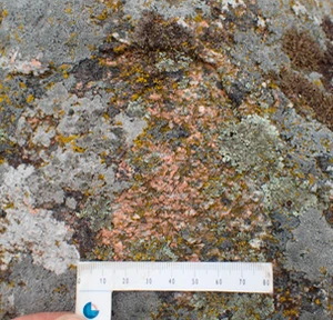 Kæmpesten Store Tingsten - tæt på