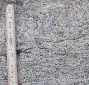 Kæmpesten Ndr. Rønner - tæt på