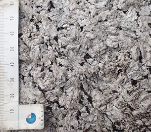 Trolde Sten er grovkornet og hvid på overfladen. Bjergarten klassificeres som larvikit, men uden labradoriserende effekt