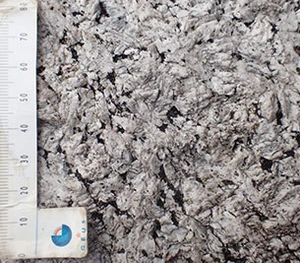 Trolde Sten er grovkornet og hvid på overfladen. Bjergarten klassificeres som larvikit, men uden labradoriserende effekt