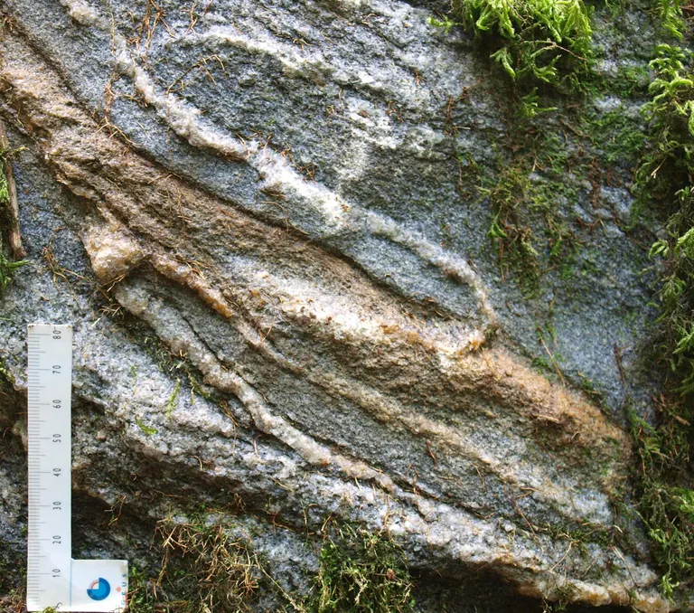 Offerstenens bjergart er en grejs med bølgede og krøllede bånd af kvarts og muligvis feldspat