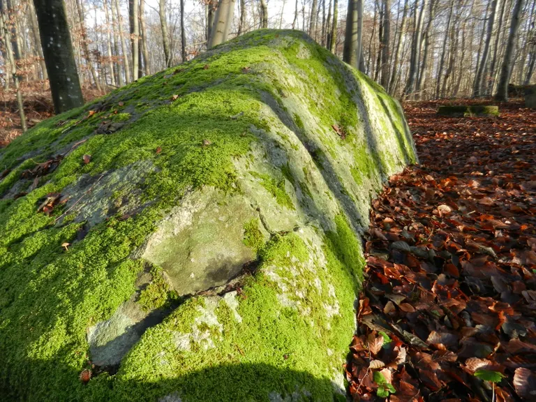 Sagnet fortæller at Troldestenen i Gribskov måske blev kastet af selveste Fanden.