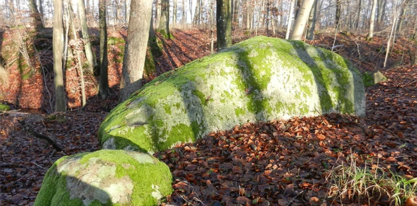 Troldestenen Gribskov er et godt mål for en skovtur