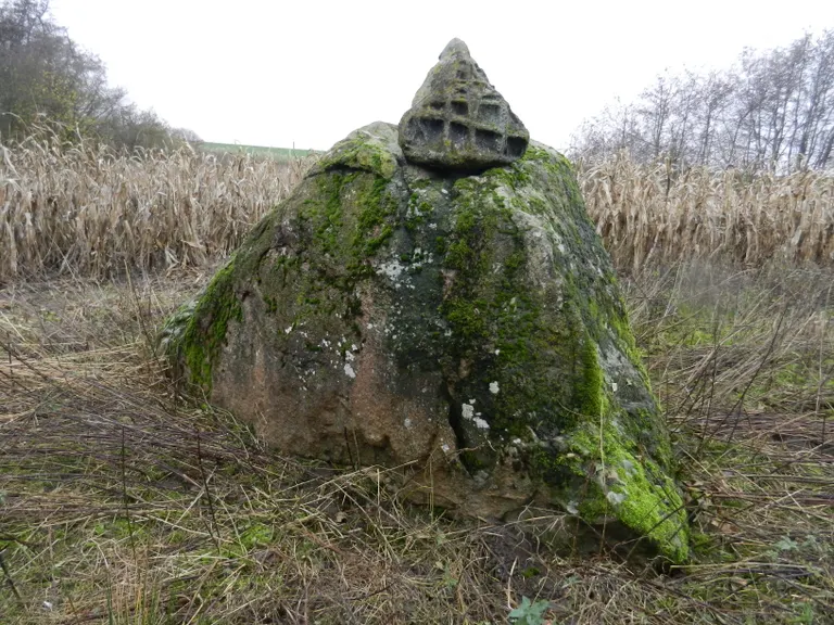 Den synlige del af Kæmpesten Oreby vejer ca. 16 tons.
