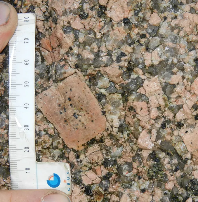 I Hamborggårdstenen findes der mange store krystaller af feldspat.