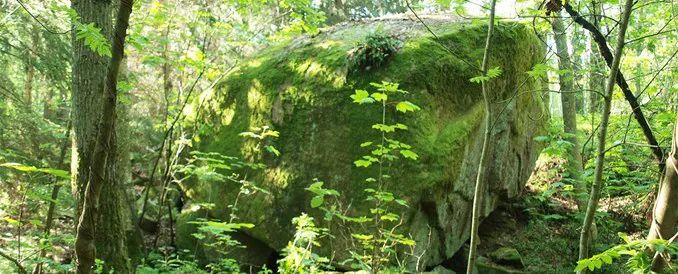 Bobbestenen er Danmarks ottende største kæmpesten