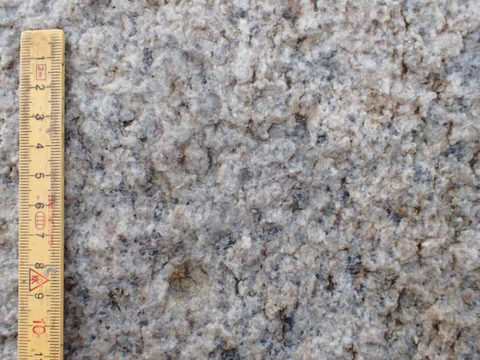Den Hvide Mær består af en lys mellem- til grovkornet granit