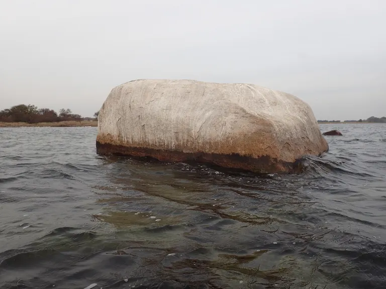 Den Hvide Mær ligger i Guldborg Sund