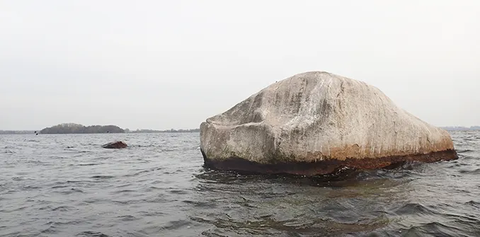 Den Hvide Mær ligger i Guldborg Sund