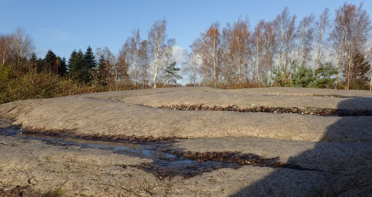 Hvissingestenens overflade har skurestriber og parabelformede brud, fra sin rejse med indlandsisen