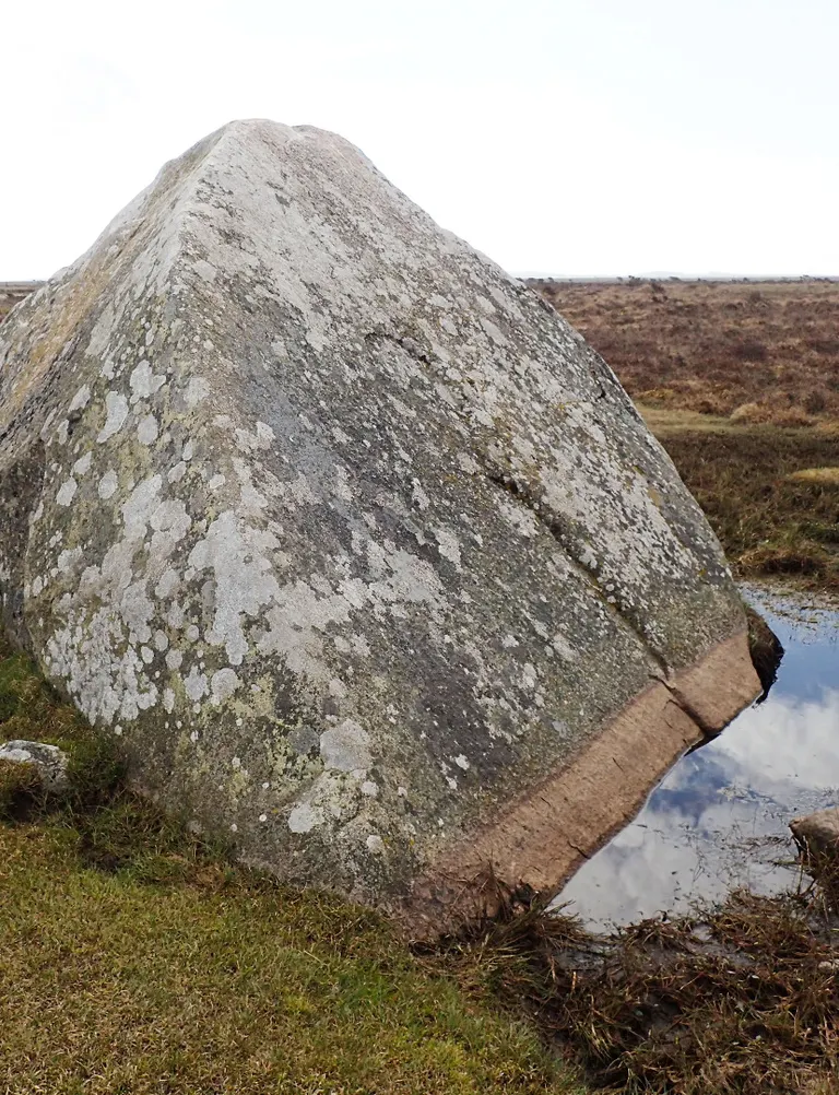 Store Pigesten er overvokset med laver