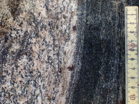 closeup 2 firetønderstenen