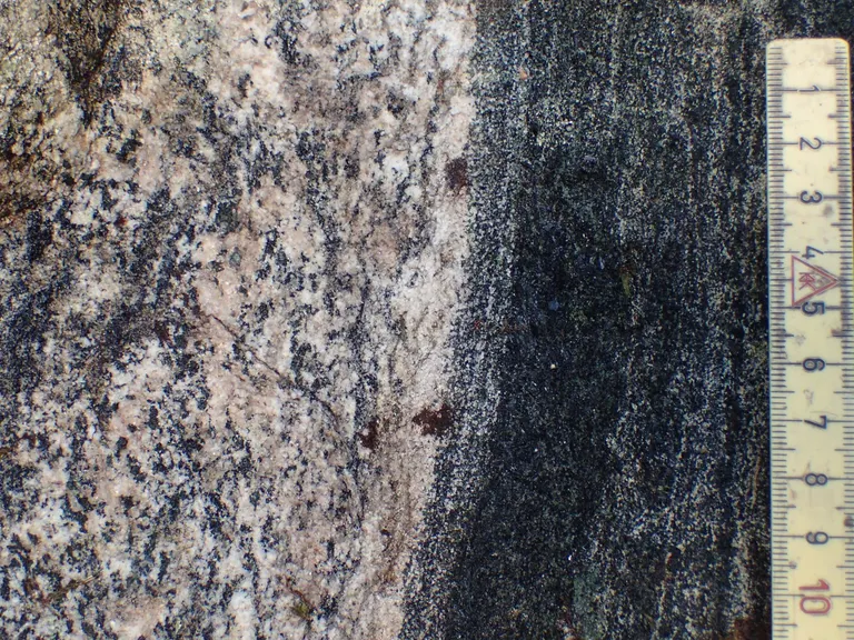 closeup 2 firetønderstenen