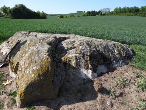 Blodstenen og marken ved siden af