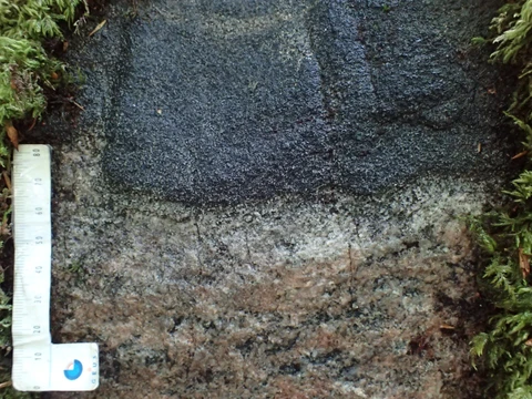 closeup 2 af pandekagesten