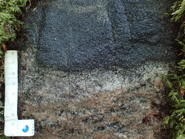 closeup 2 af pandekagesten