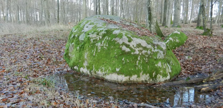 Pandekagestenen vinter