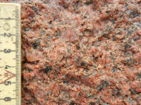 Den Røde Galt closeup