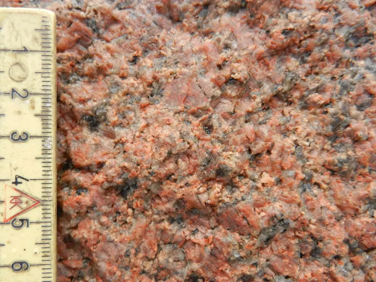 Den Røde Galt closeup