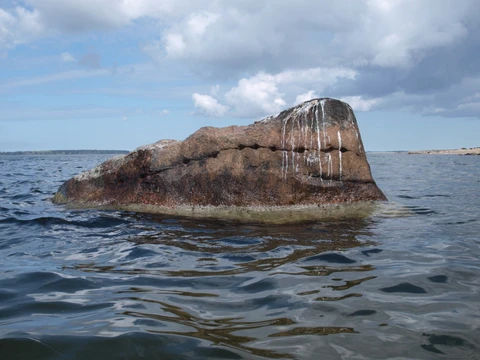 Den røde galt fra sydsiden