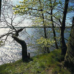 Esrum Sø og Gribskov