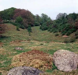 Stenbestrøning ved Bjergskov