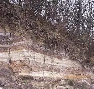 Kystklinten ved Brejning Hoved