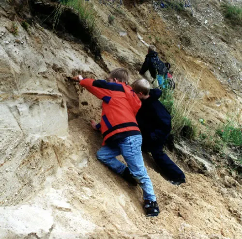 Sten og lag ved Halk Hoved