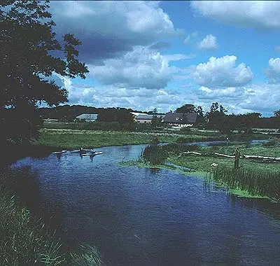 Kongeåen i Sønderjylland