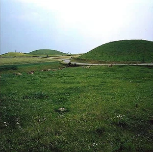 Hatbakker på Langeland