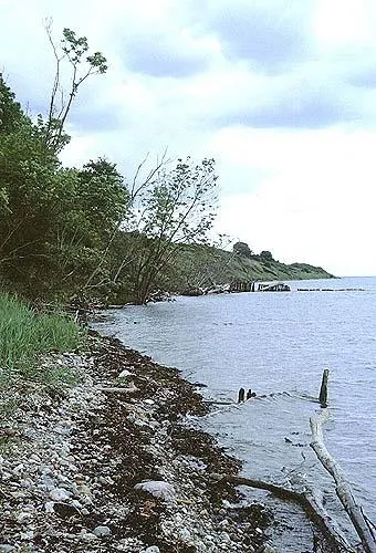 Kystklinten ved Albæk Hoved